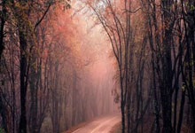 今夜迈阿密热火篮板制胜：德甲节点到来，压力陡增，临场指挥获称赞的简单介绍爱游戏体育平台